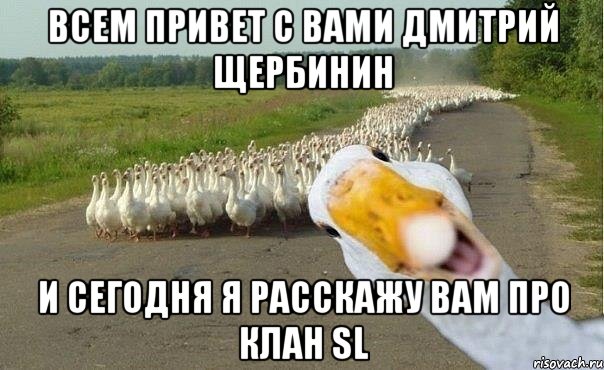 всем привет с вами дмитрий щербинин и сегодня я расскажу вам про клан SL