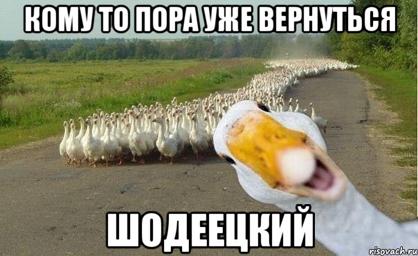 Кому то пора уже вернуться Шодеецкий, Мем гуси