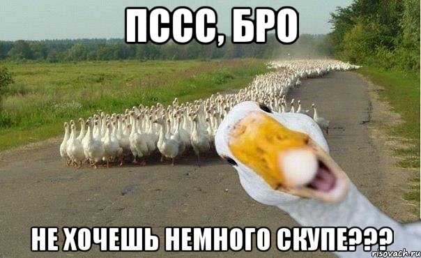 пссс, бро не хочешь немного скупе???, Мем гуси