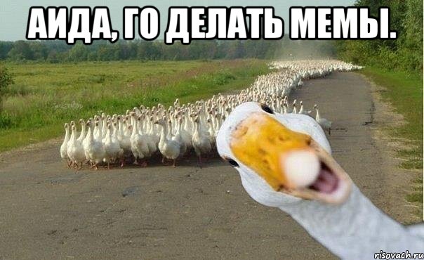 Аида, го делать мемы. , Мем гуси