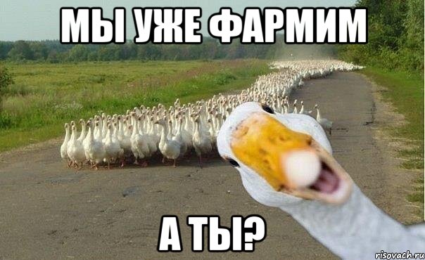 мы уже фармим а ты?, Мем гуси