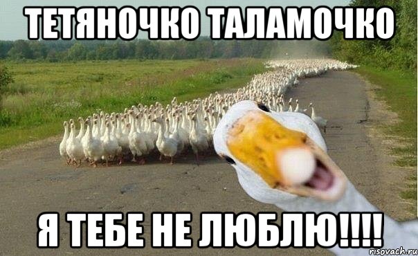 Тетяночко Таламочко я тебе не люблю!!!!, Мем гуси