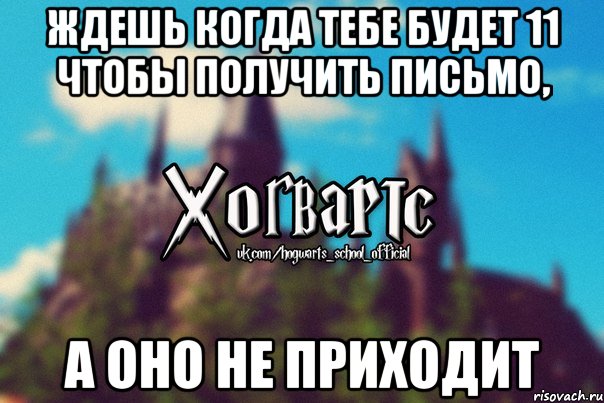 ждешь когда тебе будет 11 чтобы получить письмо, а оно не приходит, Мем Хогвартс