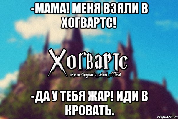 -МАМА! МЕНЯ ВЗЯЛИ В ХОГВАРТС! -Да у тебя жар! иди в кровать., Мем Хогвартс