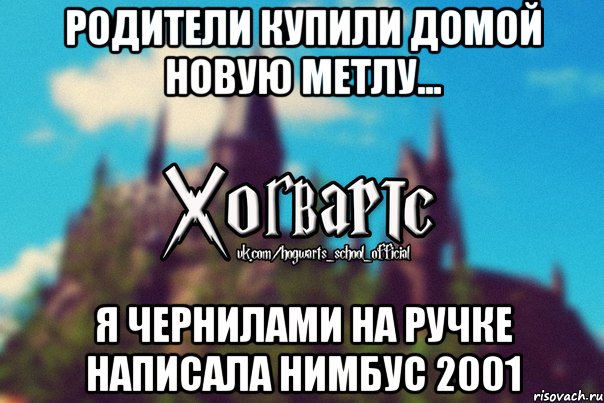 Родители купили домой новую метлу... Я чернилами на ручке написала нимбус 2001, Мем Хогвартс