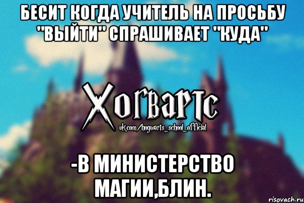 Бесит когда учитель на просьбу "выйти" спрашивает "куда" -В Министерство магии,блин., Мем Хогвартс