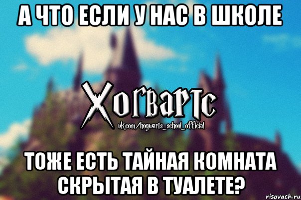 А что если у нас в школе Тоже есть тайная комната скрытая в туалете?, Мем Хогвартс