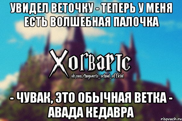 Увидел веточку - Теперь у меня есть волшебная палочка - Чувак, это обычная ветка - АВАДА КЕДАВРА, Мем Хогвартс