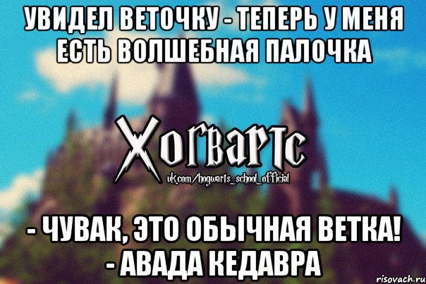 Увидел веточку - Теперь у меня есть волшебная палочка - Чувак, это обычная ветка! - АВАДА КЕДАВРА, Мем Хогвартс