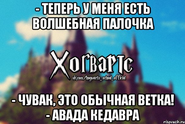 - Теперь у меня есть волшебная палочка - Чувак, это обычная ветка! - АВАДА КЕДАВРА