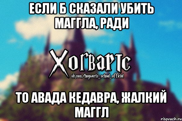 Если б сказали убить маггла, ради то авада кедавра, жалкий маггл, Мем Хогвартс