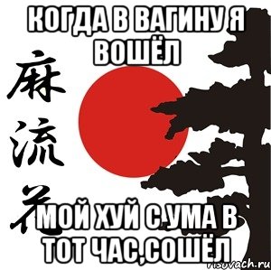 когда в вагину я вошёл мой хуй с Ума в тот час,Сошёл, Мем Хокку