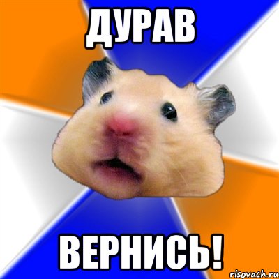 Дурав ВЕРНИСЬ!, Мем Хомяк