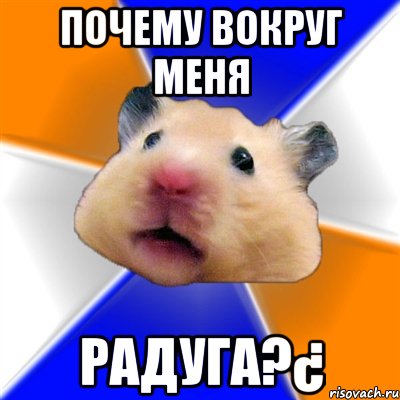 ПОЧЕМУ ВОКРУГ МЕНЯ РАДУГА?¿, Мем Хомяк