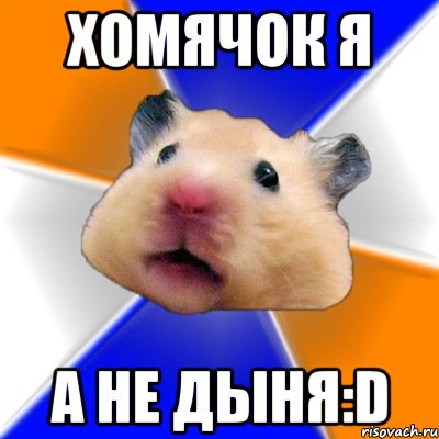 Хомячок я а не Дыня:D, Мем Хомяк