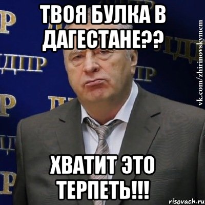 Твоя булка в Дагестане?? Хватит это терпеть!!!, Мем Хватит это терпеть (Жириновский)