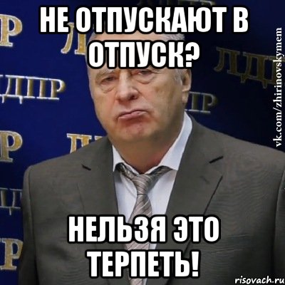 Не отпускают в отпусК? Нельзя это терпеть!, Мем Хватит это терпеть (Жириновский)