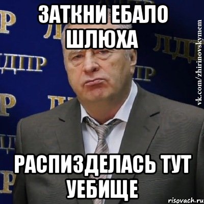 Заткни ебало шлюха распизделась тут уебище, Мем Хватит это терпеть (Жириновский)