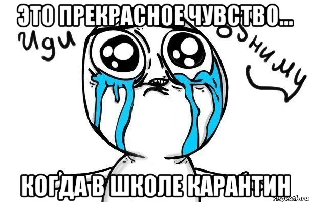 ЭТО ПРЕКРАСНОЕ ЧУВСТВО... КОГДА В ШКОЛЕ КАРАНТИН, Мем Иди обниму