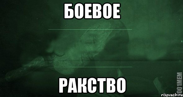 боевое ракство, Мем Игра слов 2