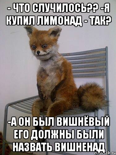 - что случилось?? -я купил лимонад - так? -а он был вишнёвый его должны были назвать вишненад, Мем Упоротая лиса