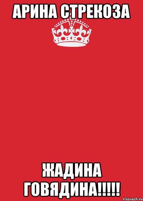 АРИНА СТРЕКОЗА ЖАДИНА ГОВЯДИНА!!!!!, Комикс Keep Calm 3