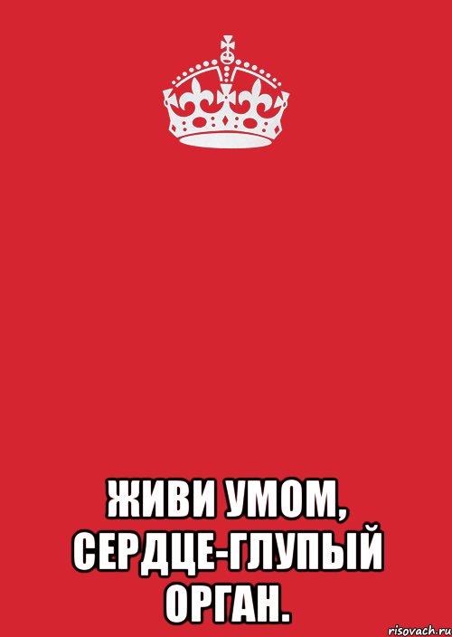  Живи умом, сердце-глупый орган., Комикс Keep Calm 3