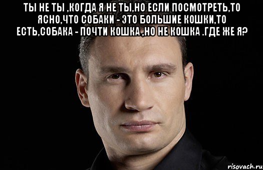 Ты не ты ,когда я не ты,но если посмотреть,то ясно,что собаки - это большие кошки,то есть,собака - почти кошка ,но не кошка .Где же я? , Мем Кличко