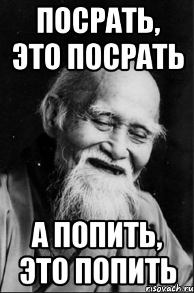 Посрать, это посрать А попить, это попить, Мем мудрец улыбается