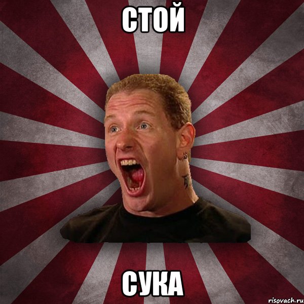 Стой сука