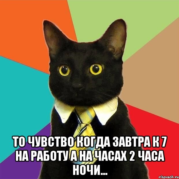  То чувство когда завтра к 7 на работу а на часах 2 часа ночи..., Мем  Кошечка