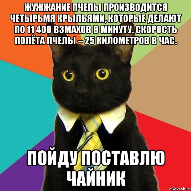 Жужжание пчелы производится четырьмя крыльями, которые делают по 11 400 взмахов в минуту. Скорость полёта пчелы – 25 километров в час. пойду поставлю чайник, Мем  Кошечка