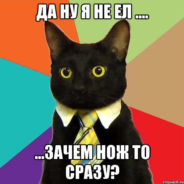 Да ну я не ел .... ...зачем нож то сразу?, Мем  Кошечка