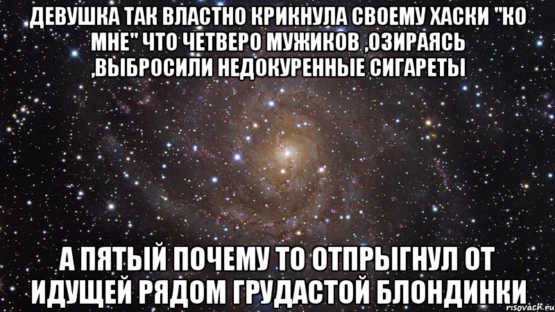 Девушка так властно крикнула своему хаски "Ко мне" Что четверо мужиков ,озираясь ,выбросили недокуренные сигареты А пятый почему то отпрыгнул от идущей рядом грудастой блондинки, Мем  Космос (офигенно)