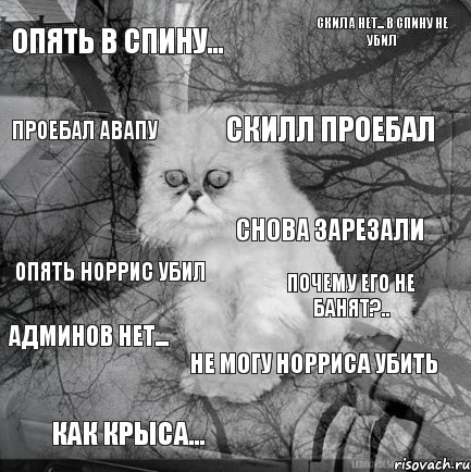 Опять в спину... Почему его не банят?.. Скилл проебал Как крыса... Опять Норрис убил Скила нет... В спину не убил Не могу Норриса убить Проебал Авапу Админов нет... Снова зарезали, Комикс  кот безысходность