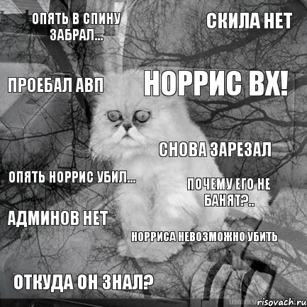 Опять в спину забрал... Почему его не банят?.. Норрис ВХ! Откуда он знал? Опять Норрис убил... Скила нет Норриса невозможно убить Проебал АВП Админов нет Снова зарезал, Комикс  кот безысходность