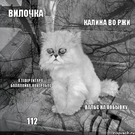 вилочка калина во ржи 112 вальс на побывку а тепер гитара, балалайка, контрабас, Комикс  кот безысходность