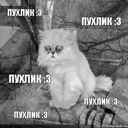 пухлик :3 пухлик :3 пухлик :3 пухлик :3 пухлик :3, Комикс  кот безысходность