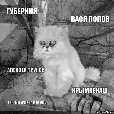 Губерния Вася Попов Опять ширшина молодец Крымненаш Алексей трунов, Комикс  кот безысходность