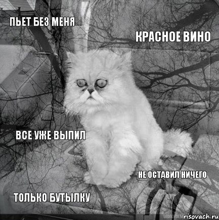 пьет без меня красное вино только бутылку не оставил ничего все уже выпил, Комикс  кот безысходность