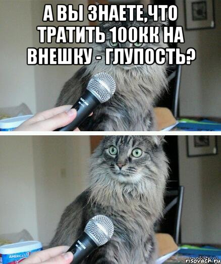 А вы знаете,что тратить 100кк на внешку - глупость? , Комикс  кот с микрофоном