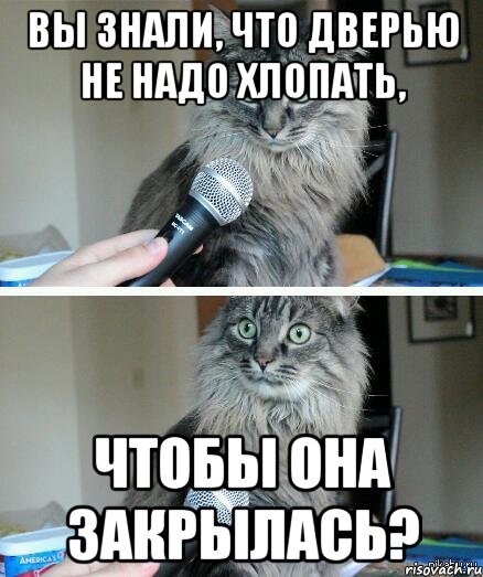 Вы знали, что дверью не надо хлопать, чтобы она закрылась?, Комикс  кот с микрофоном