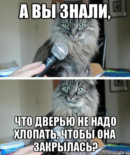 А Вы знали, что дверью не надо хлопать, чтобы она закрылась?, Комикс  кот с микрофоном