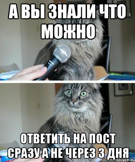 А вы знали что можно ответить на пост сразу а не через 3 дня, Комикс  кот с микрофоном