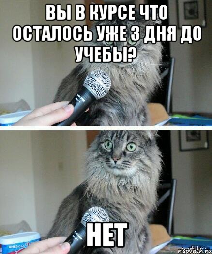 Вы в курсе что осталось уже 3 дня до учебы? Нет, Комикс  кот с микрофоном