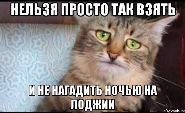 НЕЛЬЗЯ ПРОСТО ТАК ВЗЯТЬ и не нагадить ночью на лоджии