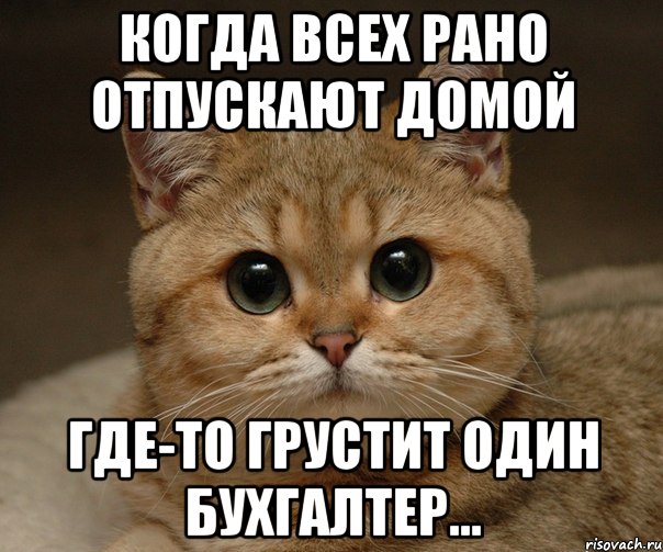 Когда всех рано отпускают домой где-то грустит один бухгалтер..., Мем Пидрила Ебаная