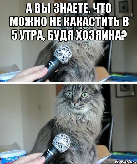 А вы знаете, что можно не какастить в 5 утра, будя хозяина? , Комикс  кот с микрофоном