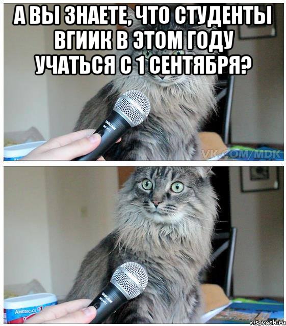 А вы знаете, что студенты ВГИИК в этом году учаться с 1 сентября? , Комикс  кот с микрофоном