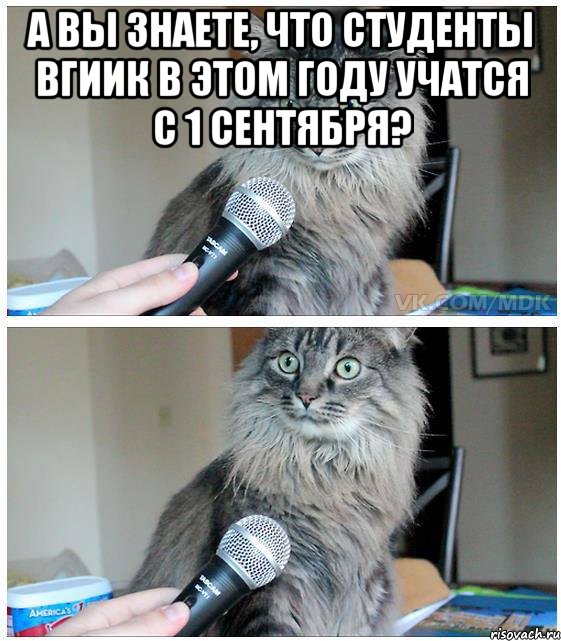 А вы знаете, что студенты ВГИИК в этом году учатся с 1 сентября? , Комикс  кот с микрофоном